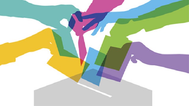 November Election 11月大選