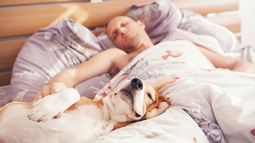 Sleep well, problems away! 睡得好!沒煩惱!