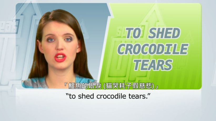 024 鱷魚的眼淚 (貓哭耗子假慈悲) 「To shed crocodile tears」