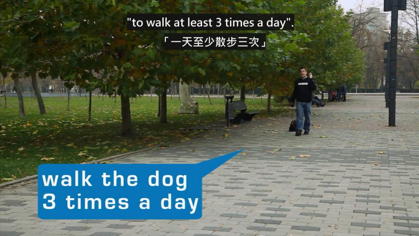 044 遛狗	 「walk the dog」