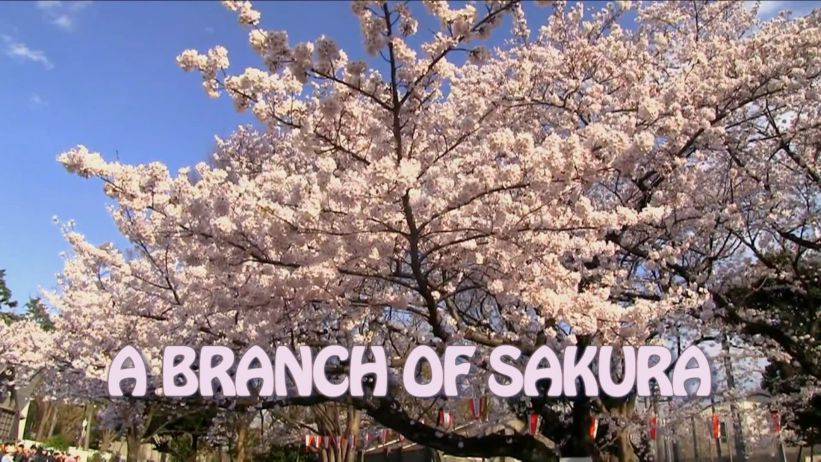 046 來畫櫻花樹枝 「 Branch of Sakura」