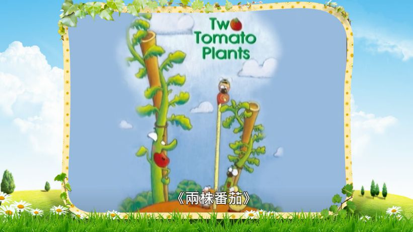 027 兩株番茄 「Two Tomato Plants」